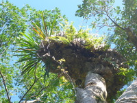 DMC-TS5, 2014:07:19 09:37:56 -- 1/100 sec, f/5.6.  No Flash, Auto.4608x3456 0.00 EV.