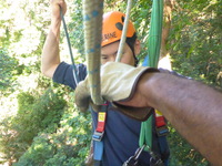 DMC-TS5, 2014:07:19 09:40:15 -- 1/250 sec, f/3.3.  No Flash, Compulsory.4608x3456 0.00 EV.