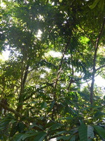 DMC-TS5, 2014:07:19 09:43:34 -- 1/60 sec, f/3.3.  No Flash, Compulsory.4608x3456 0.00 EV.