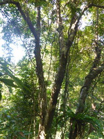 DMC-TS5, 2014:07:19 09:43:54 -- 1/60 sec, f/3.3.  No Flash, Compulsory.4608x3456 0.00 EV.