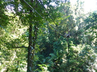 DMC-TS5, 2014:07:19 09:46:22 -- 1/60 sec, f/3.3.  No Flash, Compulsory.4608x3456 0.00 EV.