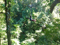 DMC-TS5, 2014:07:19 09:49:31 -- 1/60 sec, f/3.3.  No Flash, Compulsory.4608x3456 0.00 EV.