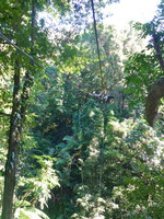 DMC-TS5, 2014:07:19 09:50:34 -- 1/60 sec, f/3.3.  No Flash, Compulsory.4608x3456 0.00 EV.