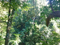 DMC-TS5, 2014:07:19 09:52:30 -- 1/60 sec, f/3.3.  No Flash, Compulsory.4608x3456 0.00 EV.