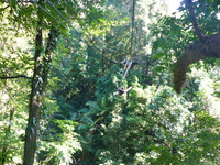 DMC-TS5, 2014:07:19 09:52:31 -- 1/60 sec, f/3.3.  No Flash, Compulsory.4608x3456 0.00 EV.