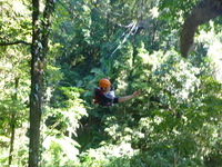 DMC-TS5, 2014:07:19 09:52:32 -- 1/60 sec, f/3.3.  No Flash, Compulsory.4608x3456 0.00 EV.