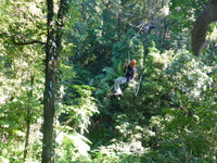 DMC-TS5, 2014:07:19 09:52:35 -- 1/60 sec, f/3.3.  No Flash, Compulsory.4608x3456 0.00 EV.