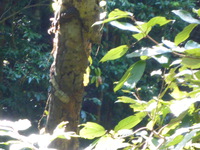 DMC-TS5, 2014:07:19 09:55:25 -- 1/20 sec, f/5.9.  No Flash, Compulsory.4608x3456 0.00 EV.