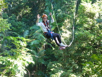 DMC-TS5, 2014:07:19 09:56:34 -- 1/125 sec, f/5.0.  No Flash, Compulsory.4608x3456 0.00 EV.