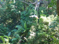 DMC-TS5, 2014:07:19 09:58:41 -- 1/125 sec, f/5.0.  No Flash, Compulsory.4608x3456 0.00 EV.