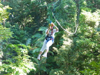 DMC-TS5, 2014:07:19 09:58:47 -- 1/100 sec, f/5.0.  No Flash, Compulsory.4608x3456 0.00 EV.