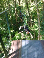 DMC-TS5, 2014:07:19 10:02:30 -- 1/125 sec, f/3.3.  No Flash, Compulsory.4608x3456 0.00 EV.