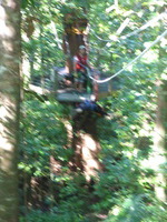 DMC-TS5, 2014:07:19 10:02:40 -- 1/40 sec, f/5.8.  No Flash, Compulsory.4608x3456 0.00 EV.