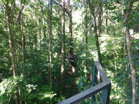 DMC-TS5, 2014:07:19 10:03:34 -- 1/60 sec, f/3.3.  No Flash, Compulsory.4608x3456 0.00 EV.