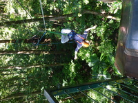 DMC-TS5, 2014:07:19 10:03:50 -- 1/60 sec, f/3.3.  No Flash, Compulsory.4608x3456 0.00 EV.