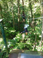 DMC-TS5, 2014:07:19 10:03:51 -- 1/50 sec, f/3.3.  No Flash, Compulsory.4608x3456 0.00 EV.