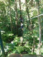 DMC-TS5, 2014:07:19 10:03:53 -- 1/50 sec, f/3.3.  No Flash, Compulsory.4608x3456 0.00 EV.