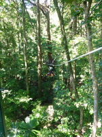 DMC-TS5, 2014:07:19 10:03:55 -- 1/125 sec, f/3.3.  No Flash, Compulsory.4608x3456 0.00 EV.