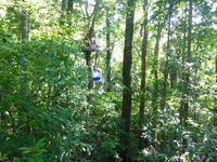 DMC-TS5, 2014:07:19 10:08:23 -- 1/80 sec, f/3.3.  No Flash, Compulsory.4608x3456 0.00 EV.