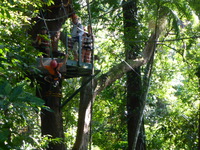 DMC-TS5, 2014:07:19 10:10:41 -- 1/40 sec, f/5.9.  No Flash, Compulsory.4608x3456 0.00 EV.