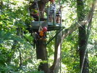 DMC-TS5, 2014:07:19 10:11:04 -- 1/125 sec, f/5.9.  No Flash, Compulsory.4608x3456 0.00 EV.