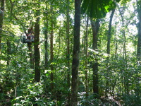 DMC-TS5, 2014:07:19 10:13:46 -- 1/60 sec, f/3.3.  No Flash, Compulsory.4608x3456 0.00 EV.