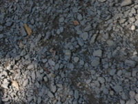 DMC-TS5, 2014:07:19 10:32:50 -- 1/320 sec, f/5.0.  No Flash, Compulsory.4608x3456 0.00 EV.