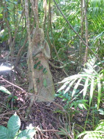 DMC-TS5, 2014:07:19 10:36:26 -- 1/20 sec, f/3.3.  No Flash, Compulsory.4608x3456 0.00 EV.