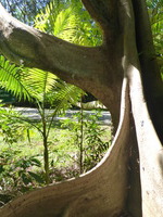 DMC-TS5, 2014:07:19 11:20:12 -- 1/200 sec, f/3.3.  No Flash, Compulsory.4608x3456 0.00 EV.