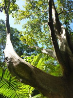 DMC-TS5, 2014:07:19 11:20:18 -- 1/320 sec, f/3.3.  No Flash, Compulsory.4608x3456 0.00 EV.