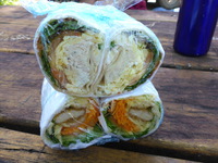 DMC-TS5, 2014:07:19 11:40:29 -- 1/60 sec, f/3.3.  No Flash, Compulsory.4608x3456 0.00 EV.