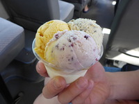 DMC-TS5, 2014:07:19 13:27:33 -- 1/60 sec, f/3.3.  No Flash, Compulsory.4608x3456 0.00 EV.