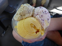 DMC-TS5, 2014:07:19 13:27:38 -- 1/60 sec, f/3.3.  No Flash, Compulsory.4608x3456 0.00 EV.