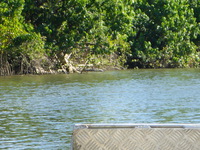 DMC-TS5, 2014:07:19 14:13:44 -- 1/125 sec, f/5.9.  No Flash, Compulsory.4608x3456 0.00 EV.