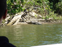 DMC-TS5, 2014:07:19 14:14:37 -- 1/160 sec, f/5.9.  No Flash, Compulsory.4608x3456 0.00 EV.