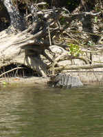 DMC-TS5, 2014:07:19 14:14:59 -- 1/200 sec, f/5.9.  No Flash, Compulsory.4608x3456 0.00 EV.