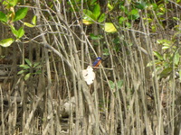 DMC-TS5, 2014:07:19 14:25:52 -- 1/250 sec, f/5.9.  No Flash, Compulsory.4608x3456 0.00 EV.