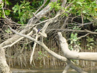 DMC-TS5, 2014:07:19 14:27:11 -- 1/125 sec, f/5.9.  No Flash, Compulsory.4608x3456 0.00 EV.