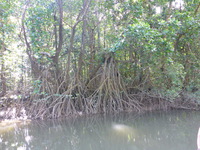 DMC-TS5, 2014:07:19 14:38:38 -- 1/125 sec, f/3.3.  No Flash, Compulsory.4608x3456 0.00 EV.