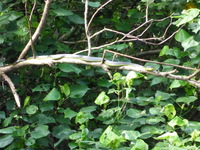 DMC-TS5, 2014:07:19 14:47:56 -- 1/320 sec, f/5.9.  No Flash, Compulsory.4608x3456 0.00 EV.