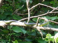 DMC-TS5, 2014:07:19 14:48:24 -- 1/80 sec, f/5.9.  No Flash, Compulsory.4608x3456 0.00 EV.