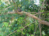 DMC-TS5, 2014:07:19 14:51:27 -- 1/125 sec, f/5.9.  No Flash, Compulsory.4608x3456 0.00 EV.