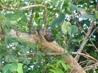 DMC-TS5, 2014:07:19 14:52:41 -- 1/100 sec, f/5.9.  No Flash, Compulsory.4608x3456 0.00 EV.