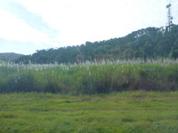 DMC-TS5, 2014:07:19 15:42:53 -- 1/800 sec, f/3.3.  No Flash, Compulsory.4608x3456 0.00 EV.