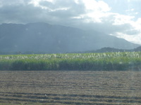 DMC-TS5, 2014:07:19 15:43:30 -- 1/640 sec, f/5.2.  No Flash, Compulsory.4608x3456 0.00 EV.