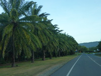 DMC-TS5, 2014:07:19 17:35:06 -- 1/320 sec, f/4.5.  No Flash, Compulsory.4608x3456 0.00 EV.