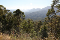 Canon EOS 5D Mark II, 2014:07:20 09:43:44 -- 1/60 sec, f/14.0.  No Flash, Compulsory.5616x3744 Off.