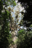 Canon EOS 5D Mark II, 2014:07:20 10:17:28 -- 1/60 sec, f/6.3.  No Flash, Compulsory.5616x3744 Off.