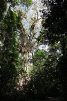 Canon EOS 5D Mark II, 2014:07:20 10:17:37 -- 1/60 sec, f/6.3.  No Flash, Compulsory.5616x3744 Off.