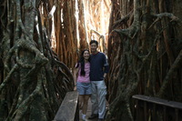 Canon EOS 5D Mark II, 2014:07:20 10:22:18 -- 1/60 sec, f/4.0.  No Flash, Compulsory.5616x3744 Off.